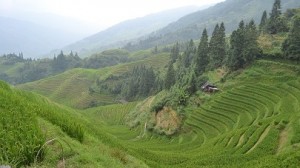 Private tour and car in Longsheng